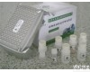  小鼠溴脱氧核苷尿<em>嘧啶</em>,BrdU<em>ELISA</em><em>试剂盒</em>