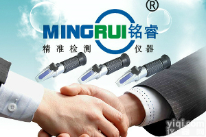 LBH3T 蜂蜜<em>波美度</em>计