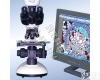 2016款 <em>数码</em><em>裂隙</em>灯显微镜