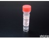 0.1ml/0.2ml Cripto-1<em>抗体</em>,<em>畸胎</em>瘤<em>衍化</em>生长因子<em>抗体</em>N端