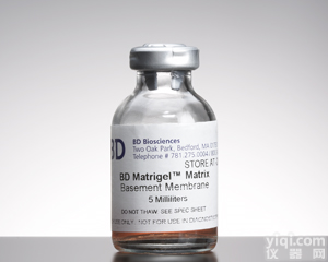 356234/354262/354248/354230 BD <em>Matrigel</em><em>基质</em>胶 <em>北京</em>代理