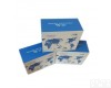 <em>小鼠</em>支<em>原体</em>Elisa<em>试剂盒</em>県货