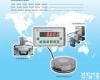 DP-<em>HS2000</em> 标准负荷测力仪 负荷测力仪 测力仪