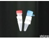  神经元突触膜胞外分泌调节蛋白3抗体,Anti-RIMS3抗体
