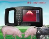 邯郸猪用B超机，猪羊<em>兽用</em>B超<em>测温仪</em>HRQ-5000AV 邯郸猪用B超机，猪羊<em>兽用</em>B超<em>测温仪</em>