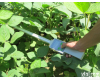 <em>SYS</em>-GC 供应<em>SYS</em>-GC<em>植物</em>冠层<em>测量仪</em>国产