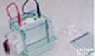 XRS-MV-IIA 小型双垂<em>直板</em><em>电泳槽</em>/双垂<em>直板</em><em>电泳槽</em>
