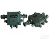 <em>DL13-BHD1-5-127～XT 矿用隔爆型通信用接线盒</em>