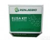 <em>小鼠</em>adropin<em>蛋白</em>ELISA<em>检测</em>试剂盒<em>检测</em>范围