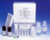 <em>小鼠</em>血管<em>生长素</em>(ANG)ELISA<em>试剂盒</em>