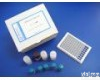 96T/48T <em>雄烯二酮</em>(ASD)人elisa<em>试剂盒</em>