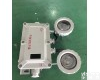 BLD20 LED防爆<em>应急灯</em> 防爆<em>应急灯</em>，防爆标志灯 防爆双头<em>应急灯</em>