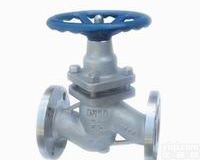 见说明 <em>柱塞阀</em>/柱塞<em>截止阀</em>/柱塞闸阀