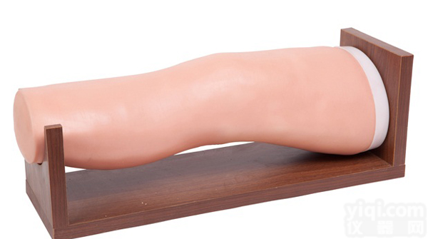 SBK/Y59 <em>膝关节</em>腔内注射<em>模型</em>