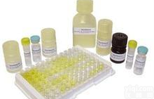 96T 花生乙酰<em>辅酶</em>A羧化酶<em>合成酶</em>(ACC)ELISA<em>试剂盒</em>