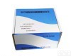 SK040 黄<em>嘌呤</em><em>氧化酶</em>检测<em>试剂盒</em>