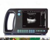 RHA-VD-3000V  <em>动物</em>B超/<em>掌上型</em><em>兽用</em>B超