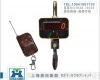 OCS 电子小吊秤<em>价钱</em>是<em>多少</em>,1吨电子小吊钩称,鼎拓电子称报价