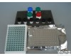 HY21820E <em>小鼠</em><em>胶原酶</em>I ELISA<em>试剂盒</em>