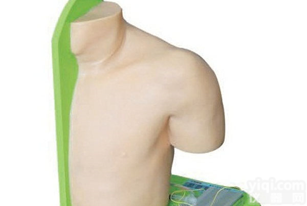 SBK/Y57 <em>肩关节</em>腔内注射<em>模型</em>