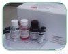  人<em>穿孔</em>素/成孔蛋白(PF/PFP)进口ELISA<em>试剂盒</em>