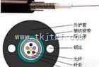 <em>ADSS全介质自承式光缆</em>