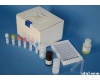 48T/96t 人<em>胸腺肽</em>(ThGDosin)ELISA<em>试剂盒</em>价格
