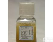 <em>绵羊</em><em>血清</em> 北京<em>绵羊</em><em>血清</em>厂家，现货<em>绵羊</em><em>血清</em>批发