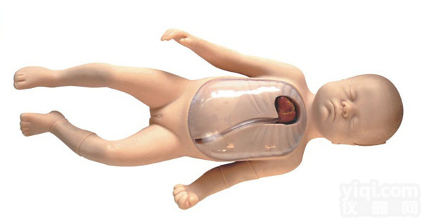 SBK/Y26 新生儿<em>外周</em>ZX静脉<em>插管</em>模型