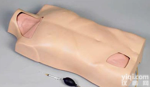 SBK/Y22 ZX<em>静脉</em><em>穿刺</em>注射<em>躯干</em>模型