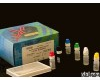 HY22109E <em>小鼠</em><em>组胺</em>ELISA<em>试剂盒</em>