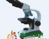 FL-306B-<em>1600</em>× 双目头生物<em>显微镜</em>FL-306B-<em>1600</em>×