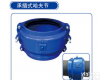 HFJ <em>球墨</em>管承插式<em>哈夫</em>节