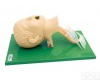  <em>气管插管训练模型,气管插管模型</em>