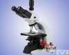 XK-PH100 厂家供应 高级生物<em>显微镜</em> 双目<em>微生物</em><em>显微镜</em>