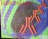 人<em>白介素</em>10(IL-10)<em>ELISA</em> <em>试剂盒</em>   人<em>白介素</em>10(IL-10)<em>ELISA</em> <em>试剂盒</em>供应商  