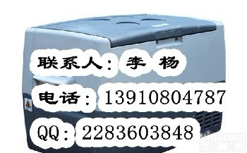 FYL-YS-30L 卧式<em>零下</em>20℃<em>冰箱</em>