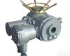 扬州电动执行器DZW15-18-DS1 扬州电动执行器DZW15-18-DS1
