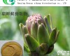 <em>朝鲜蓟</em><em>提取物</em>厂家