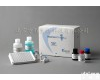  代做elisa实验 人<em>冠状</em>病毒(<em>Coronaviruses</em> IgG)ELISA<em>试剂盒</em>价格