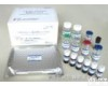 HY20004E 人皮肤T细胞<em>虏获</em><em>趋化</em>因子ELISA<em>试剂盒</em>