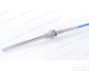 S10Pt100-150-X-3231/F00S200 <em>弹簧</em><em>管保</em>护PT100<em>热电阻</em>