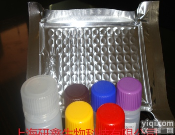 48T/96T 人<em>甲状腺素</em>(T4) <em>ELISA</em> <em>Kit</em>