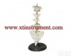 XTY5108503 各部<em>椎骨</em><em>形态特征</em>