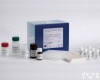 48T/96t 牛<em>印度</em><em>刺猬</em>因子(IHH)ELISA<em>试剂盒</em>价格