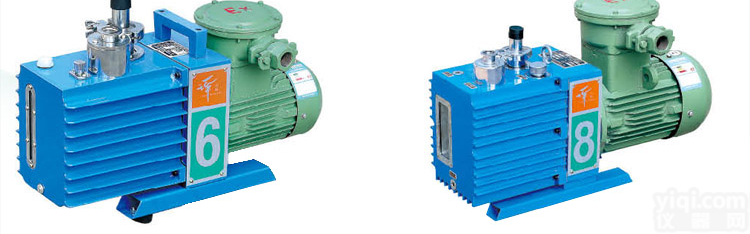 LTS9-2XZF-1 直联旋片式真空泵/防爆直联旋片式真空泵