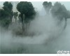 小区<em>绿化带</em>景观人造雾直销
