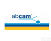 abcam <em>abcam抗体</em>，<em>abcam抗体</em>报价