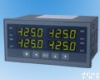 XSD<em> XSD多通道数字式仪表</em>