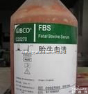 C2027050 高品质 Gibco 胎牛<em>血清</em> 南美<em>原装</em>C <em>价格</em>